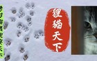 中欧班列能绕开波兰，可以走铁海联运，条条大道通罗马