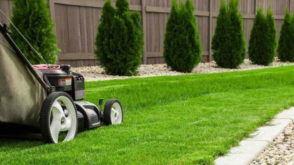 jardinería profesional