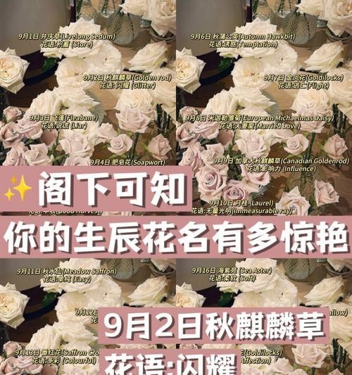 室内养月季的魅力与技巧（让居室绽放芬芳的秘诀和护理方法）