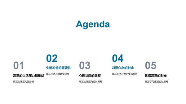 高三生活应对策略模板_第2页