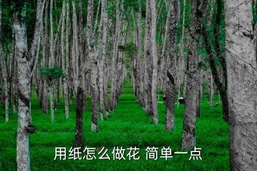 用纸怎么做花 简单一点