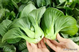 蔬菜要因时而食,记住1到12月应季蔬菜一览表,应季而食身体棒图片