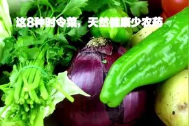 入秋后,这8种时令菜,天然健康少农药,有机会一定多吃视频封面