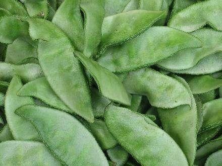 超低卡路里减肥食物推荐，怎么吃都不胖，赘肉减不停！