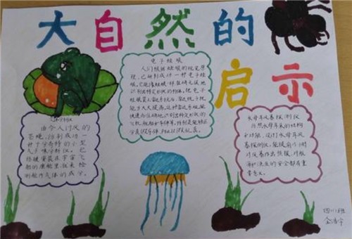 大自然的手抄报小学生简单好看5张