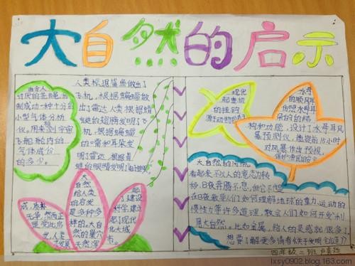 大自然给我们的启示手抄报图片