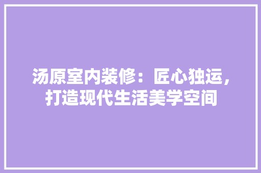 汤原室内装修：匠心独运，打造现代生活美学空间 室内设计