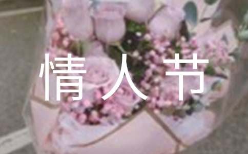 酒店情人节活动方案精选15篇