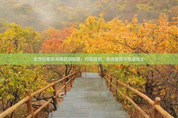 全方位老年海南旅游指南：行程规划、景点推荐与生活贴士