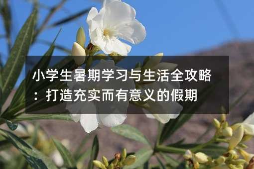 小学生暑期学习与生活全攻略:打造充实而有意义的假期