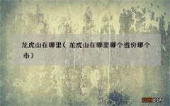 龙虎山在哪里哪个省份哪个市 龙虎山在哪里