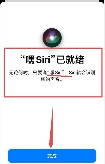 ios17如何设置siri-图4