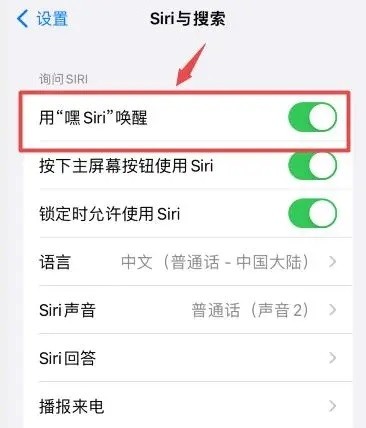 ios17如何设置siri-图5