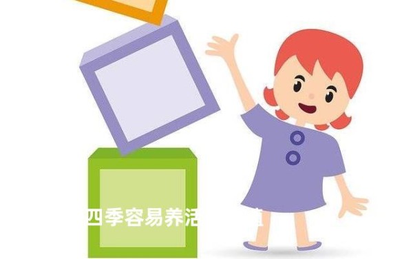 一年四季容易养活的绿植