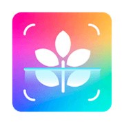 智能识别大师