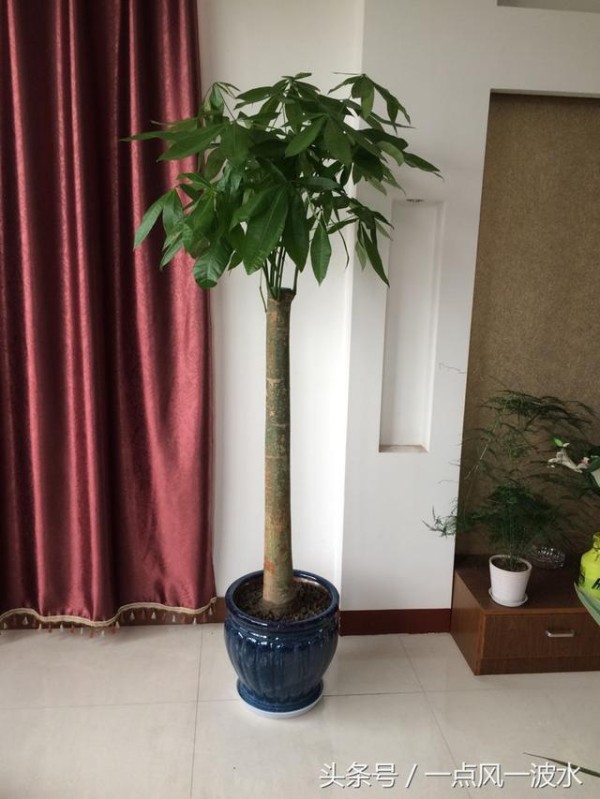 整理了一些日常实用风水指南，只此一次