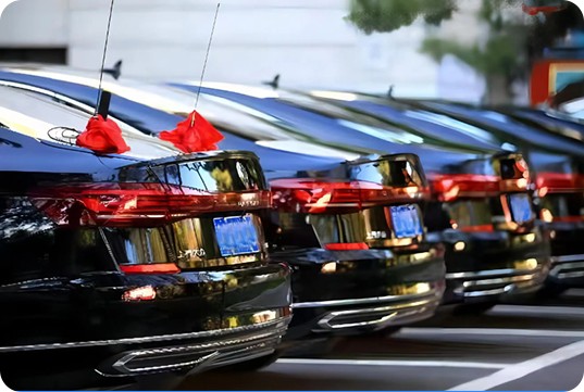 Government Vehicles