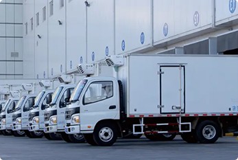 Cold Chain Logistics