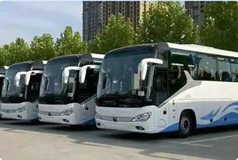 Tourism Transport