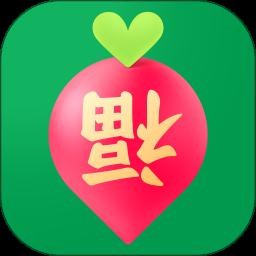 叮咚买菜app免费版