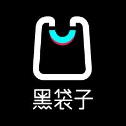 黑袋子app手机版
