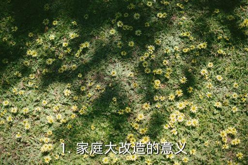 1. 家庭大改造的意义