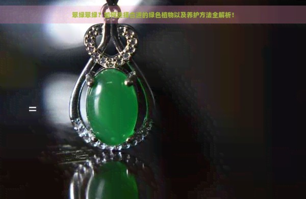 翠绿翠绿？如何选择合适的绿色植物以及养护方法全解析！