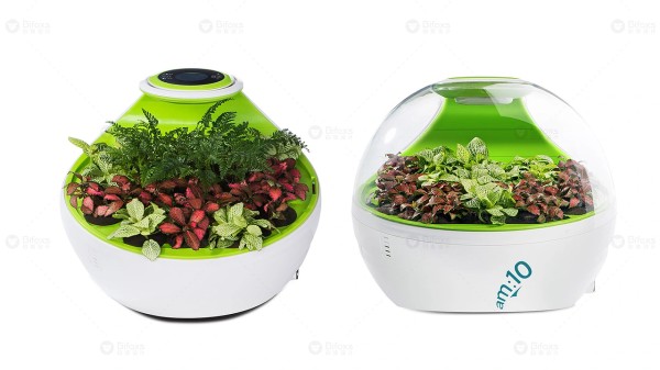 绿植空气净化器设计