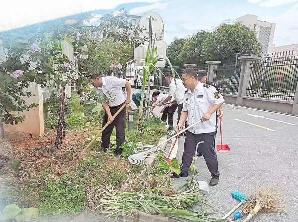 ▲南宁急救医疗中心罗文急救站清除杂草角落及排水沟。（医院供图）