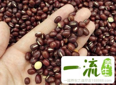 营养食谱大全及做法 吃的营养身体才更棒