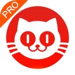 猫眼实时票房