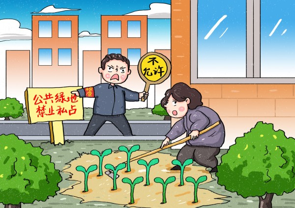 改善居民生活环境 胶州重点清理公共区域毁绿种菜问题