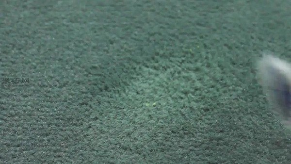 如何用冷冻法清除口香糖