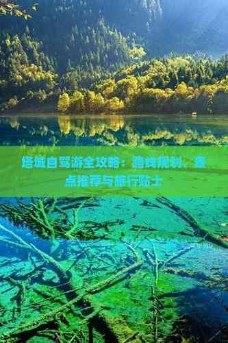 塔城自驾游全攻略：路线规划、景点推荐与旅行贴士
