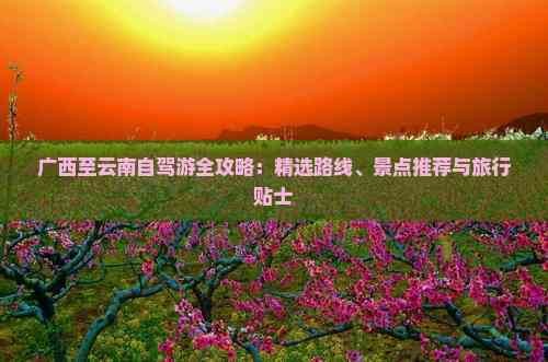 广西至云南自驾游全攻略：精选路线、景点推荐与旅行贴士
