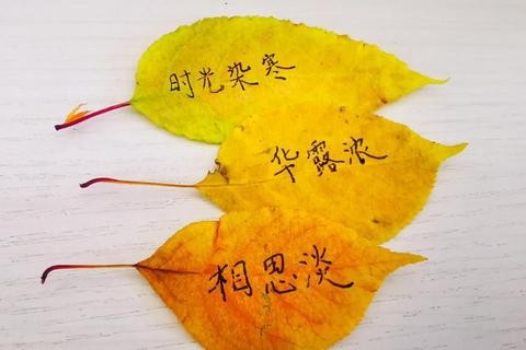 《如何用六爻优化家居风水格局》