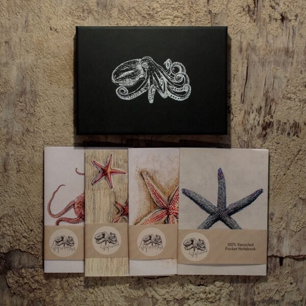 Echinoderms pocket notebook gift box.