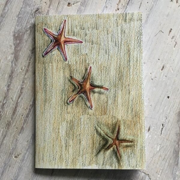 Sand Star Pocket Notebook