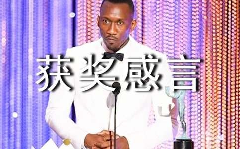 技能大赛获奖感言（精选25篇）