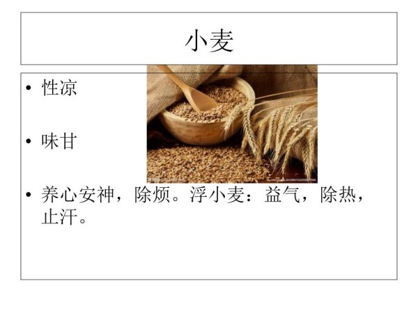 常见食物的养生知识.ppt_第2页