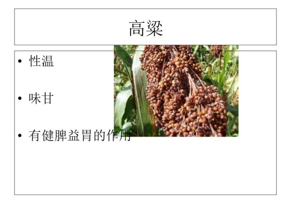 常见食物的养生知识.ppt_第5页