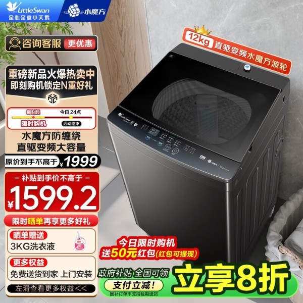 小天鹅 TB120V81DT