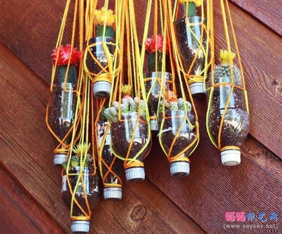 环保低碳家居生活 用废弃塑料瓶制作悬挂式盆栽