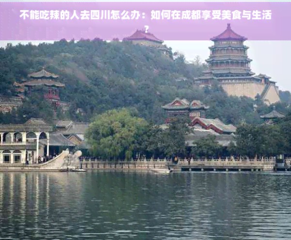 不能吃辣的人去四川怎么办：如何在成都享受美食与生活？
