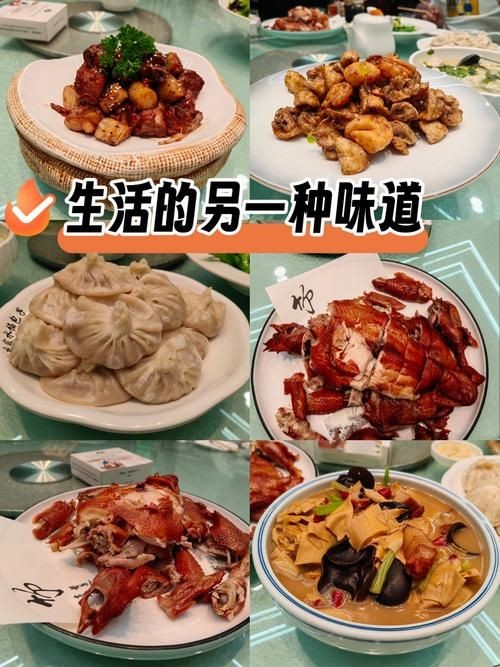 重生之民以食为天探索美食与生活的完美结合
