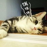 英特99