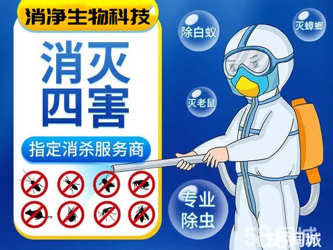 消净生物科技·专业四害消杀⭐灭蟑螂⭐灭鼠⭐大型油烟机清洗⭐灭白蚁⭐除虫除蚁⭐灭跳蚤