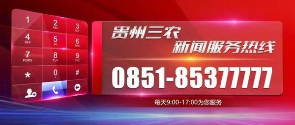 声音贵州 | 年货系列——宛若工艺品的精致年味天柱雕花蜜饯