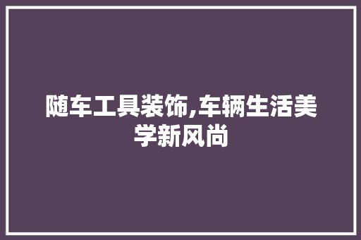 随车工具装饰,车辆生活美学新风尚 木雕艺术