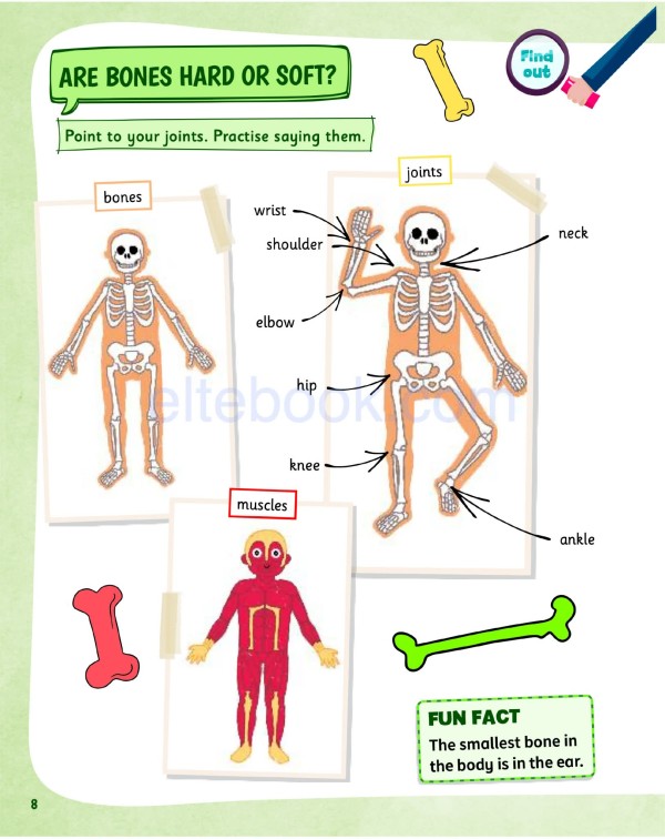 Cambridge Science Skills 剑桥“科学+英语”跨学科教材